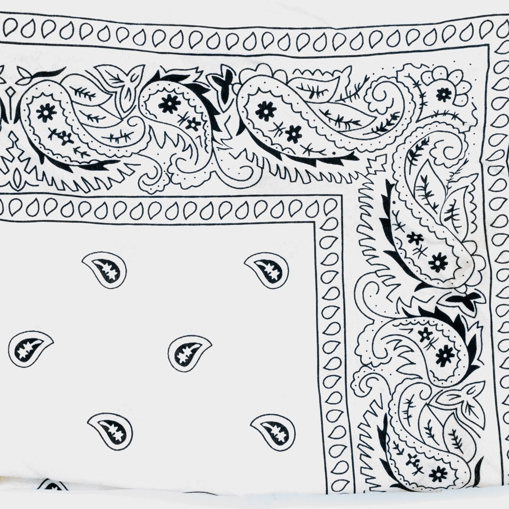 Vintage Paisley Bandana - Dimensions 20in x 20in