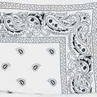 Vintage Paisley Bandana - Dimensions 20in x 20in