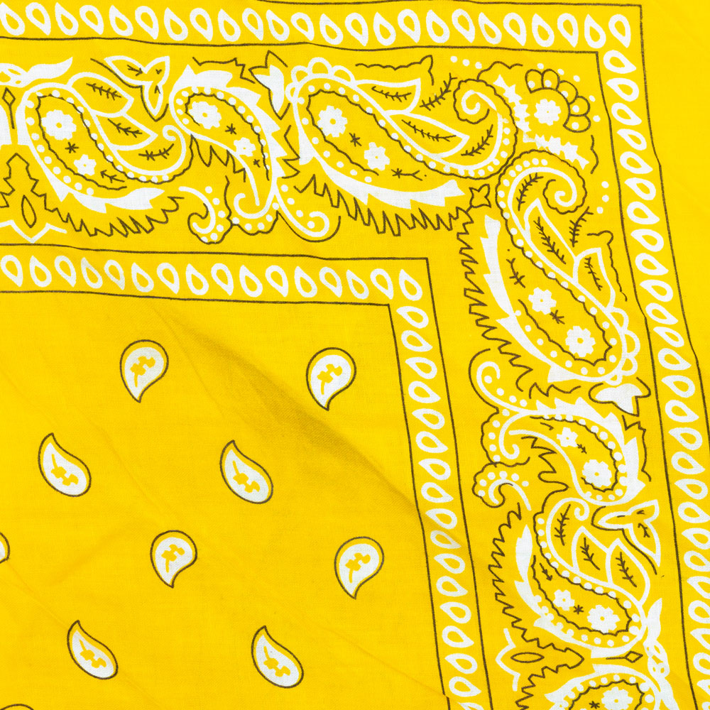 Vintage Paisley Bandana - Dimensions 20in x 20in