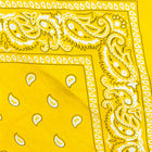 Vintage Paisley Bandana - Dimensions 20in x 20in