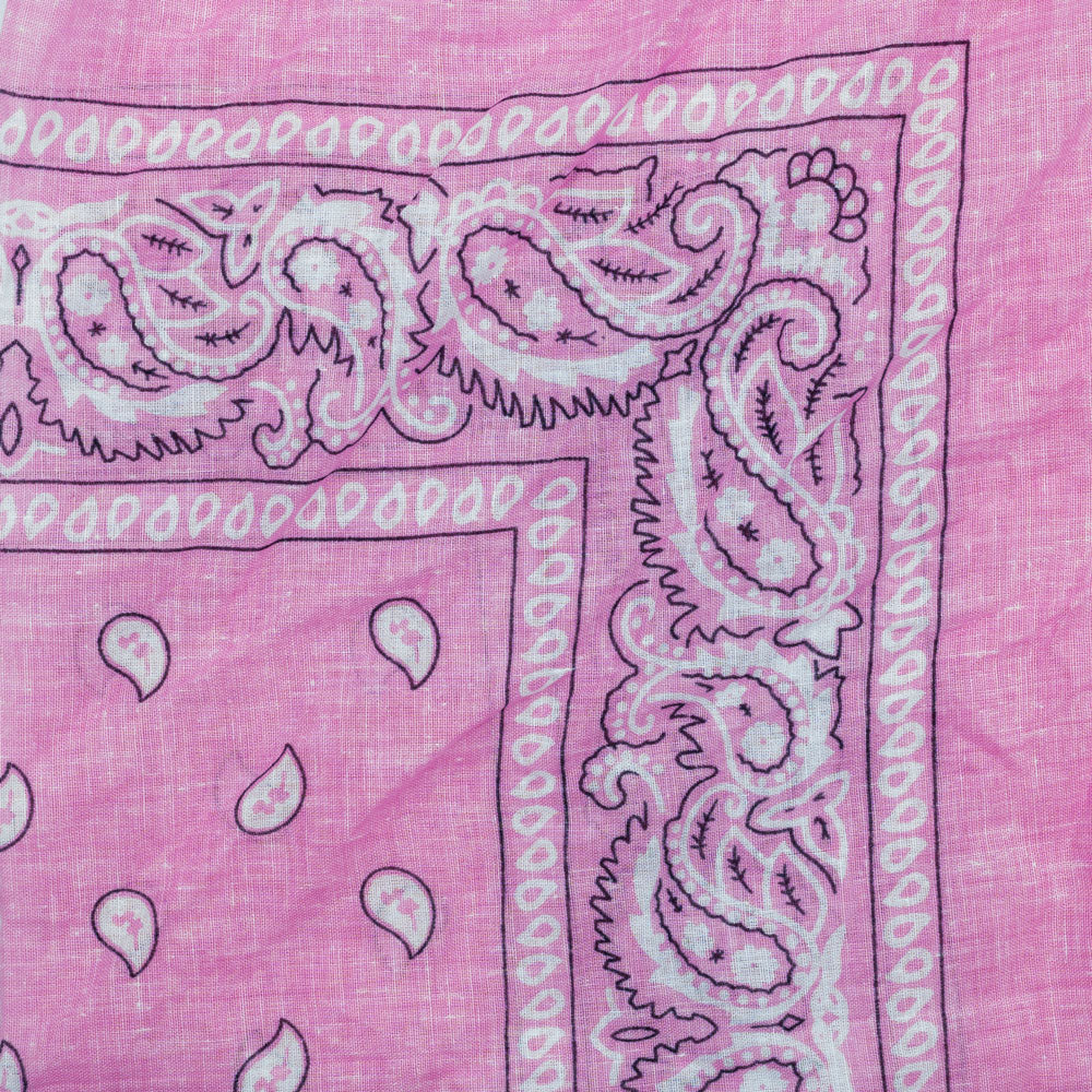 Vintage Paisley Bandana - Dimensions 20in x 20in