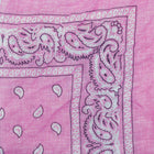 Vintage Paisley Bandana - Dimensions 20in x 20in