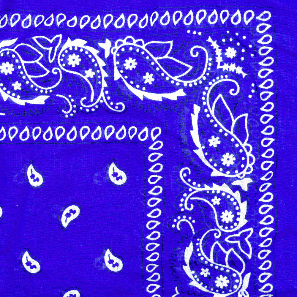 Vintage Paisley Bandana - Dimensions 20in x 20in
