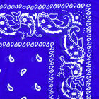 Vintage Paisley Bandana - Dimensions 20in x 20in
