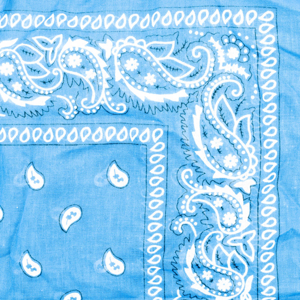 Vintage Paisley Bandana - Dimensions 20in x 20in