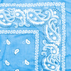 Vintage Paisley Bandana - Dimensions 20in x 20in