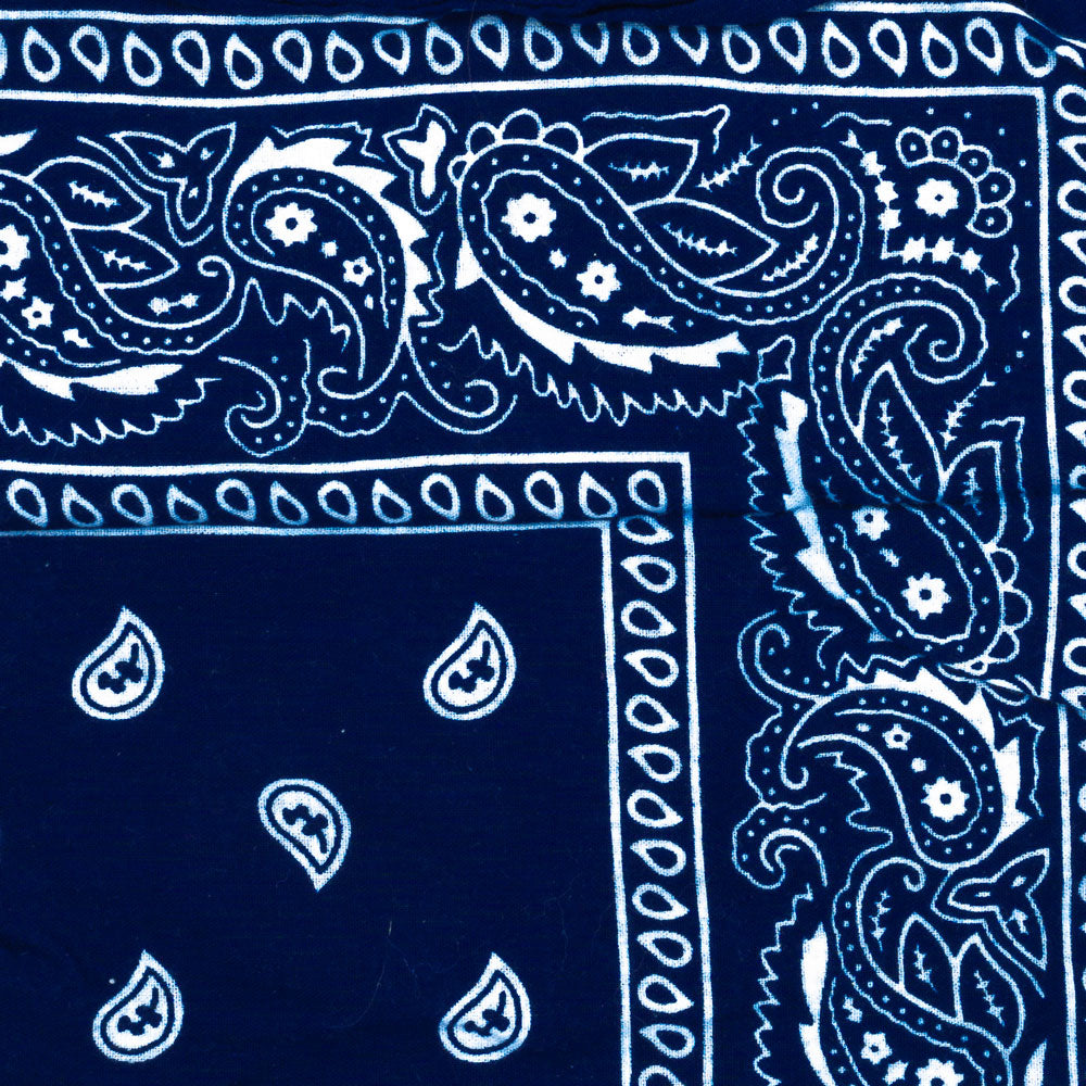 Vintage Paisley Bandana - Dimensions 20in x 20in