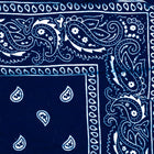 Vintage Paisley Bandana - Dimensions 20in x 20in