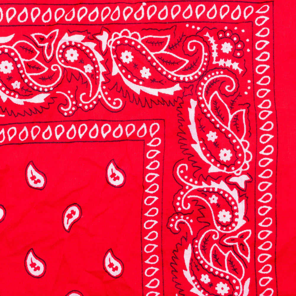 Vintage Paisley Bandana - Dimensions 20in x 20in