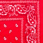Vintage Paisley Bandana - Dimensions 20in x 20in