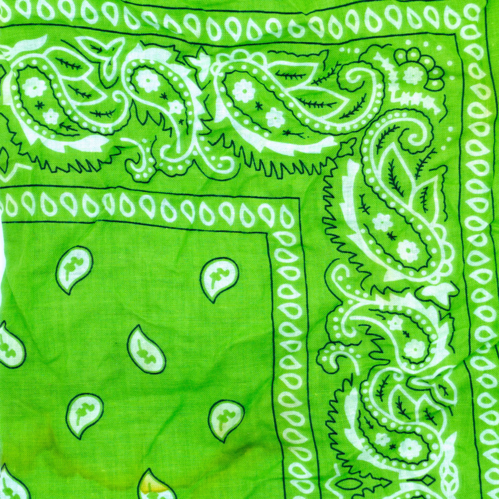 Vintage Paisley Bandana - Dimensions 20in x 20in