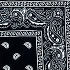 Vintage Paisley Bandana - Dimensions 20in x 20in
