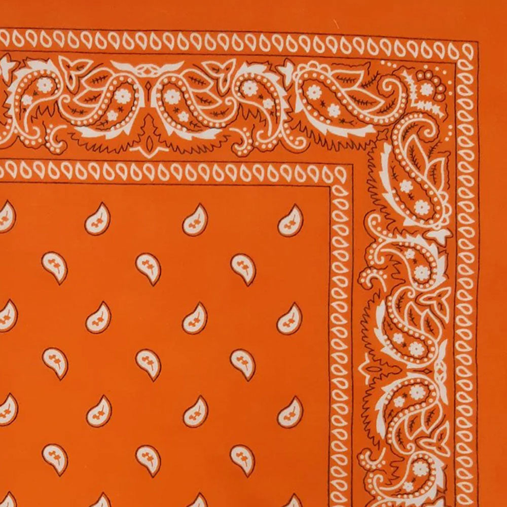 Vintage Paisley Bandana - Dimensions 20in x 20in