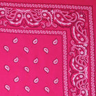 Vintage Paisley Bandana - Dimensions 20in x 20in