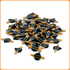 Black Planet Custom Charms
