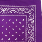 Vintage Paisley Bandana - Dimensions 20in x 20in