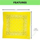 Vintage Paisley Bandana | Good for DIY Face Mask | Headwear | Dimensions 20in x 20in | Cotton Face Mask | Face Cover | Perfect Accessory